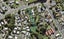 9/101 Hobsonville Road, West Harbour, Auckland - Carousel 1