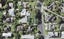 216A Riddell Road, Glendowie, Auckland - Carousel 1