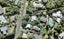 79 Hebron Road, Waiake, Auckland - Carousel 1
