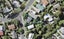 2 Scarlock Avenue, Browns Bay, Auckland - Carousel 1