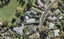 9 Linley Place, Hillcrest, Auckland - Carousel 1