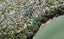 124 Cliff Drive, GREEN BAY, AUCKLAND - Carousel 1