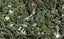 159B Konini Road, Titirangi, Auckland - Carousel 1