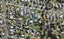 59A Methuen Road, New Windsor, Auckland - Carousel 1
