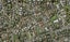 1/12 Santa Monica Place, Goodwood Heights, Auckland - Carousel 1
