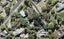 180 Cliff View Drive, Green Bay, Auckland - Carousel 1