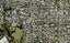 63C Terry Street, Blockhouse Bay, Auckland - Carousel 1