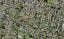 41 Waddell Avenue, Point England, Auckland - Carousel 1