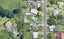 22 Bruce Street, Ngongotaha, Rotorua - Carousel 1