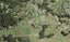 603 Drury Hills Road, Drury - Carousel 1