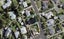 12 Tampin Road, Hillpark, Auckland - Carousel 1