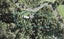 143 Potter Road, Albany - Carousel 1