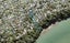 116 Cliff View Drive, Green Bay, Auckland - Carousel 1