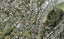 7A Catalina Crescent, Forrest Hill, Auckland - Carousel 1