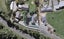 213B Junction Road, Highlands Park, New Plymouth - Carousel 1