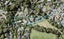 35 Bemrose Place, Cockle Bay, Auckland - Carousel 1