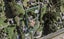 6 Everlea Place, Alfriston, Auckland - Carousel 1