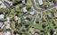 20 Chippendale Crescent, Birkdale, Auckland - Carousel 1