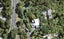 4 Park Road, Titirangi, Auckland - Carousel 1