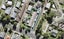 4/30 Islington Avenue, New Lynn, Auckland - Carousel 1