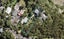 40 Opou Road, Titirangi, Auckland - Carousel 1