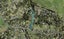 334D Redoubt Road, Totara Park, Auckland - Carousel 1