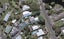 54 Brooklands Road, Brooklands, New Plymouth - Carousel 1