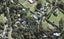 14 Buckleys Track, Paremoremo, Auckland - Carousel 1