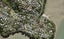 10A Frederick Street, Hillsborough, Auckland - Carousel 1