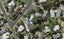 1 Bowman Road, Forrest Hill, Auckland - Carousel 1