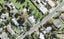 85A Mckenzie Avenue, Arkles Bay, Whangaparaoa - Carousel 1