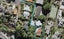 28B Rewa Road, Three Kings, Auckland - Carousel 1
