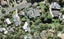 63 Hebron Road, Waiake, Auckland - Carousel 1
