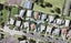 82C Maybury Street, Point England, Auckland - Carousel 1