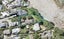 15 Huntly Road, Campbells Bay, Auckland - Carousel 1