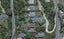 45 Sutherland Road, Melrose, Wellington - Carousel 1