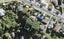 130 Carlisle Road, Northcross, Auckland - Carousel 1