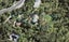 166 Huia Road, Titirangi, Auckland - Carousel 1