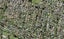 10B Bagnall Avenue, Point England, Auckland - Carousel 1