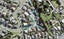 17 Jomard Terrace, Northcross, Auckland - Carousel 1