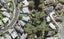 50 Chippendale Crescent, Birkdale, Auckland - Carousel 1
