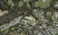11 Wicklam Lane, Greenhithe, Auckland - Carousel 1