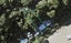 61 Pohutukawa Avenue, Shelly Park, Auckland - Carousel 1