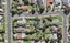 1E Castleton Street, Birkdale, Auckland - Carousel 1
