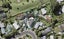 2/43 Seine Road, Forrest Hill, Auckland - Carousel 1