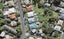 41 Mountain View Road, Morningside, Auckland - Carousel 1