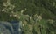 163 Te Rongo Road, Parua Bay, Whangarei - Carousel 1