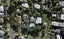 6 Ross Street, Remuera, Auckland - Carousel 1