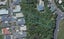 5 Harbour Park Terrace, Khandallah, Wellington - Carousel 1