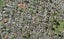 15D Holland Avenue, Point England, Auckland - Carousel 1